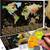 W WANDERLUST MAPS Carte0604