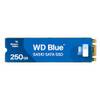 Blue SA510 von WD