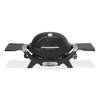 Q 1200N von Weber
