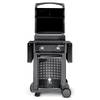Spirit E-210 von Weber