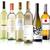 The Wine Guys Weißweinreise durch Italien