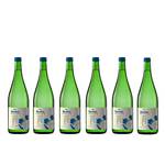 Wein Wischer Nordheim am Main Bacchus