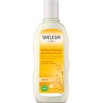 Weleda Bio Hafer Aufbau-Shampoo