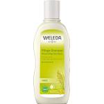Naturkosmetik-Shampoo