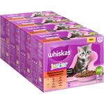 Whiskas Junior ‎case443680