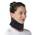 WL0201U1 von Willcom
