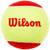 Wilson Starter Red Tennisbälle