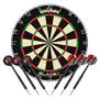 Dartscheibe