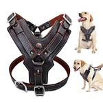 Wishdeal Hundegeschirr