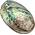 Abalone-Meeresmuschel von Xudrez