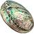 Xudrez Abalone-Meeresmuschel