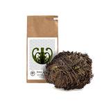 Yakeba Rose von Jericho (Selaginella lepidophylla)