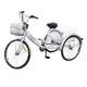 Tanti 20 Zoll 1-Gang Fahrrad für Erwachsene mit 3 Rädern Produktvergleich