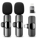 Mini-Mikrofon