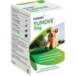 Gelenktabletten für Hunde