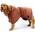 Hunde-Bademantel von Yunt