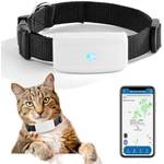 GPS für Katzen