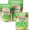 Bio Kresse Sprossen Samen von ZenGreens