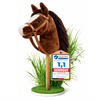 Hobby Horse von Zenovia