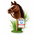 Hobby Horse von Zenovia