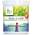 Natur Zeolith von Biocaregreen