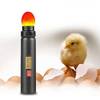 Led Lampe Ei Candler von ZJchao