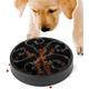 Zonsuse Anti-Schling-Napf Hund Produktvergleich