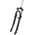 Swift 141 von Zoom