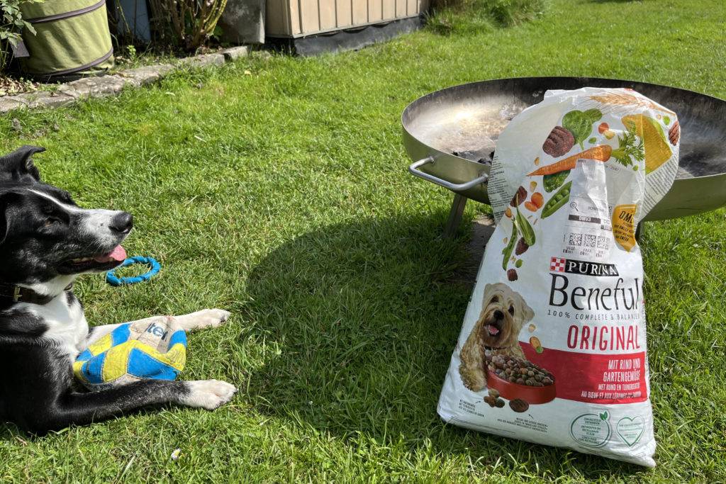 Hundetrockenfutter-Verpackung vor einer Grillschüssel