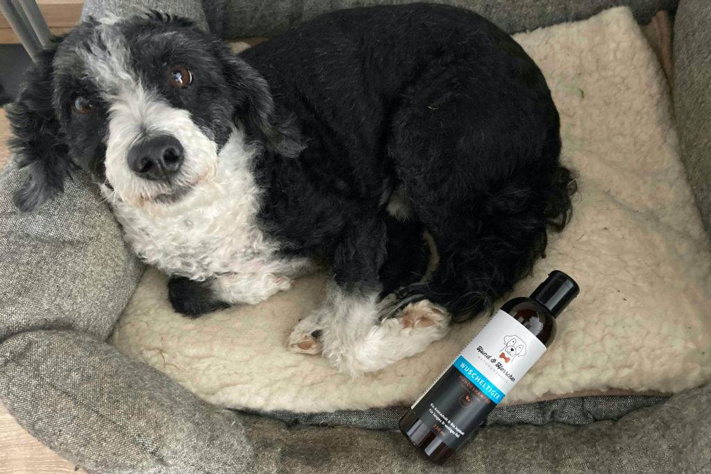 Hundeshampoo mit Hund auf Decke