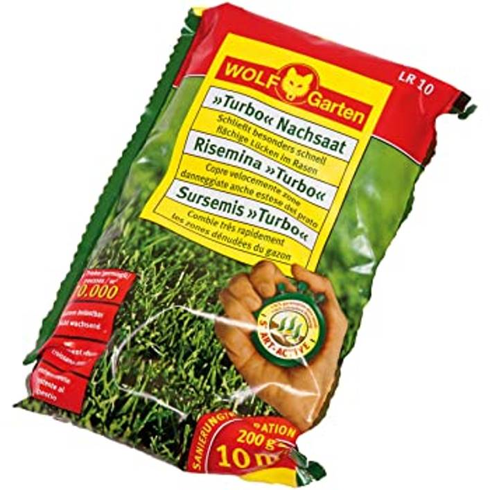 24 beste Rasensamen kaufen Test & Vergleich 2023 » 3 Top Produkte!