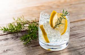 Gin Test Vergleich