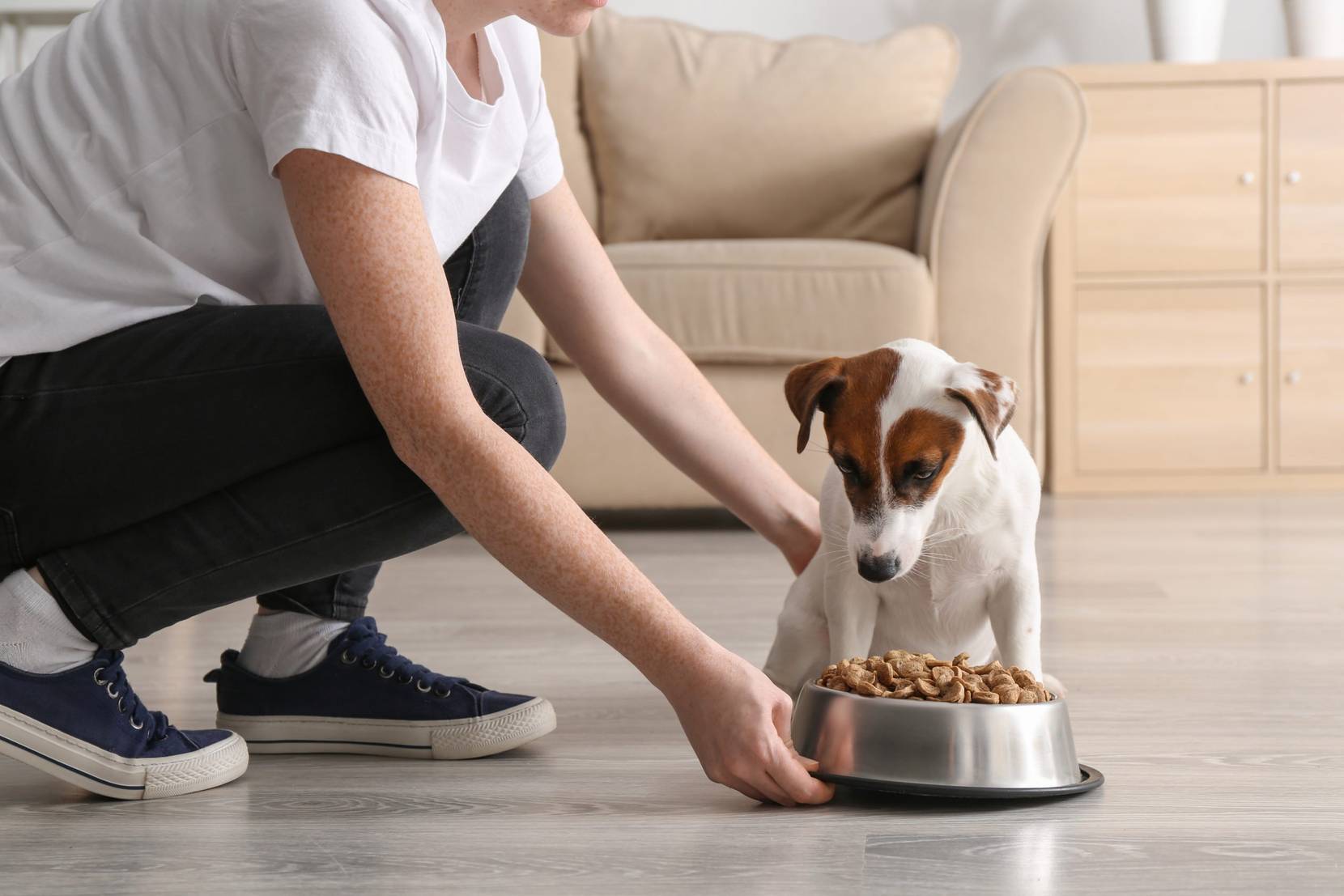 20 beste Nassfutter Hunde Test & Vergleich 2023 » 3 Top Produkte!
