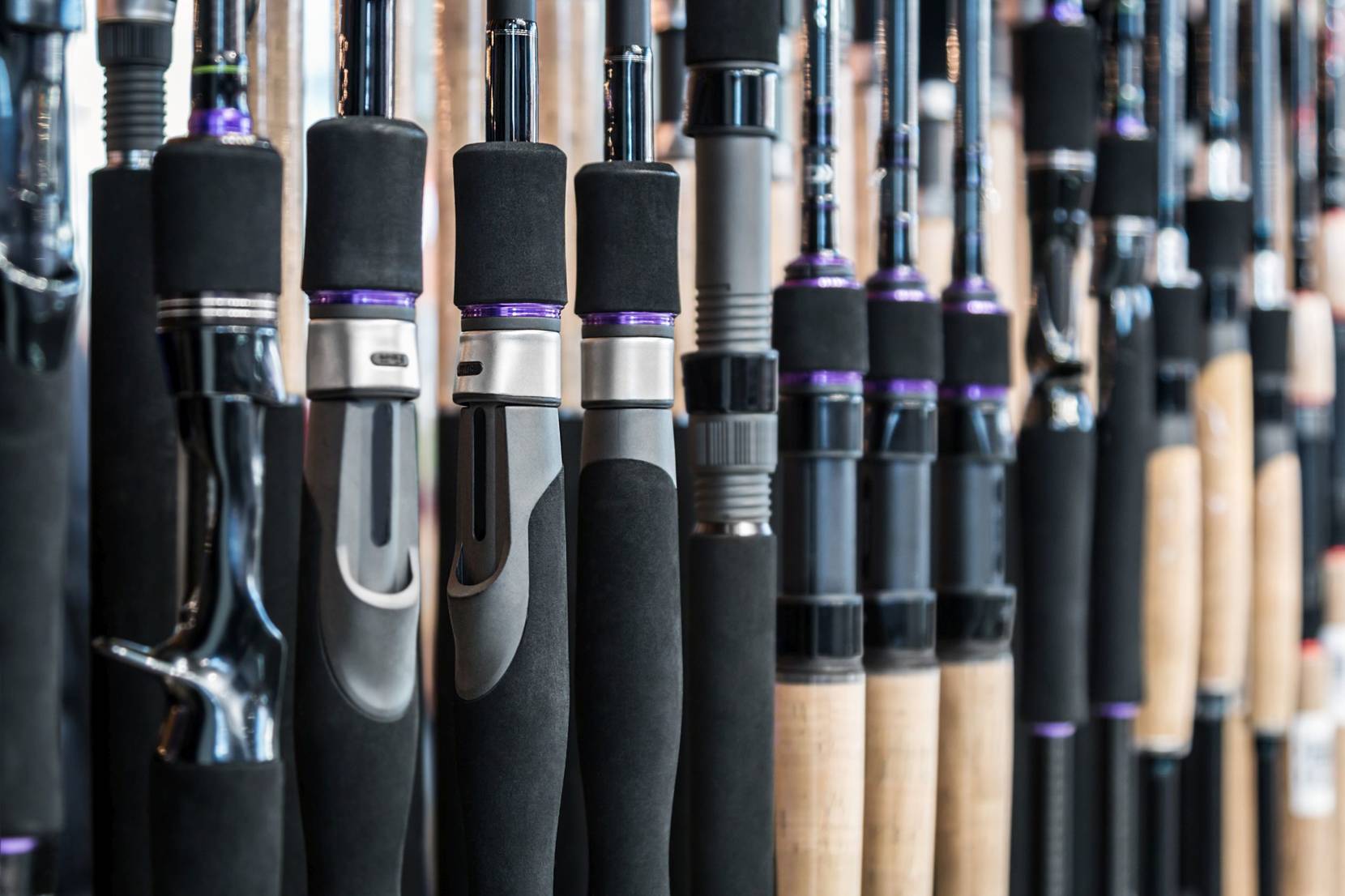 18 beste Spinnruten Test & Vergleich 2023 » 3 Top Produkte!