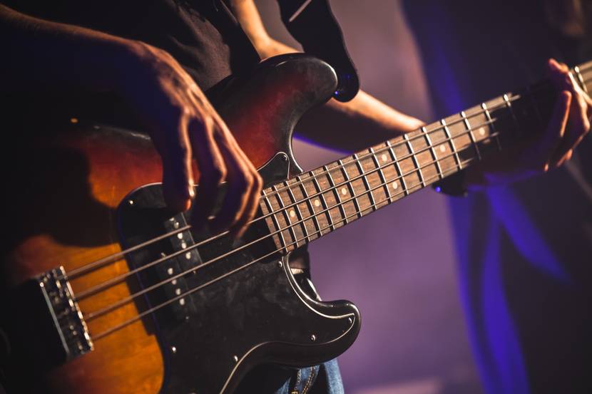 bass gitarre test vergleich