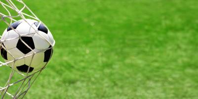 ball im netz