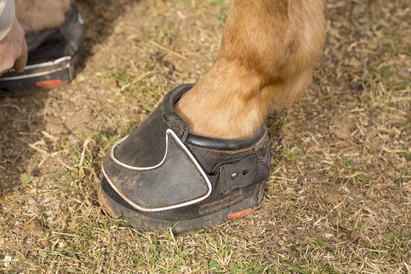 hufschuhe pferd test vergleich