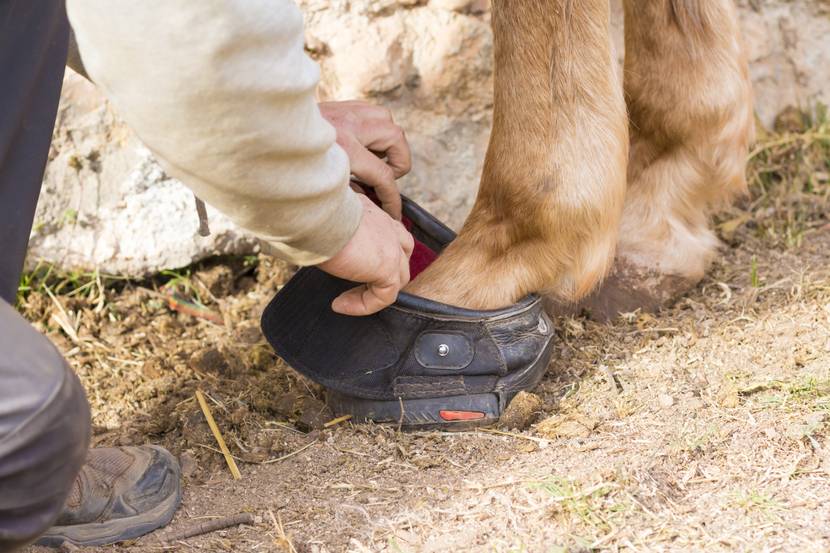 hufschuhe verwenden
