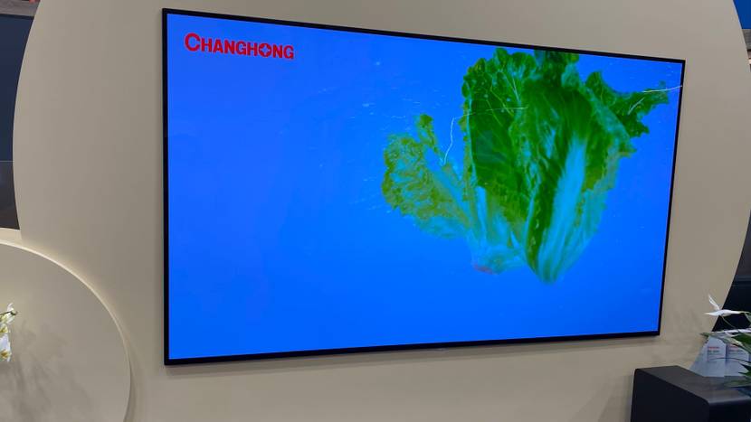 Im Test: Ein OLED TV an einer hellen Wand hängend.
