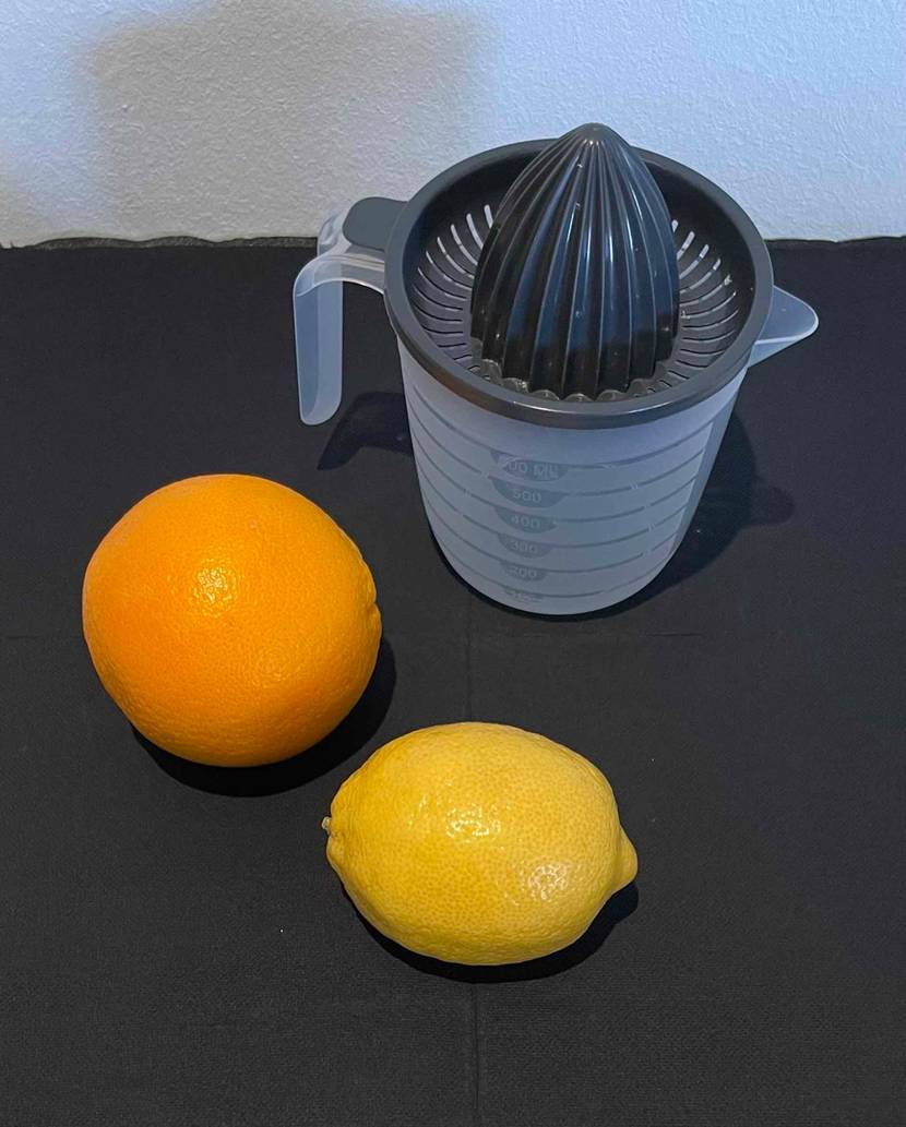 Getestete Orangenpresse-Zitruspresse befindet sich zusammen mit den Früchten auf dem Küchentisch.
