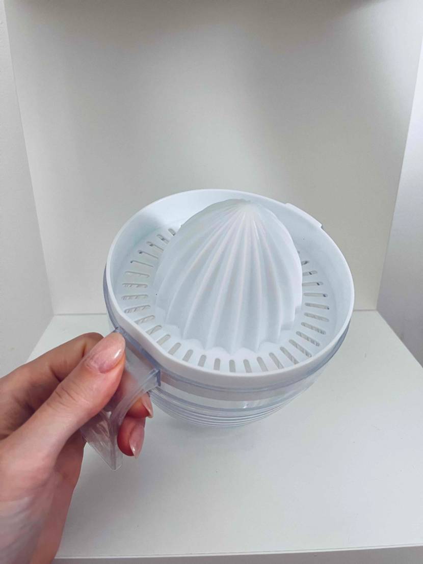 Entsafter-Test: Modell aus Plastik in einer Hand.