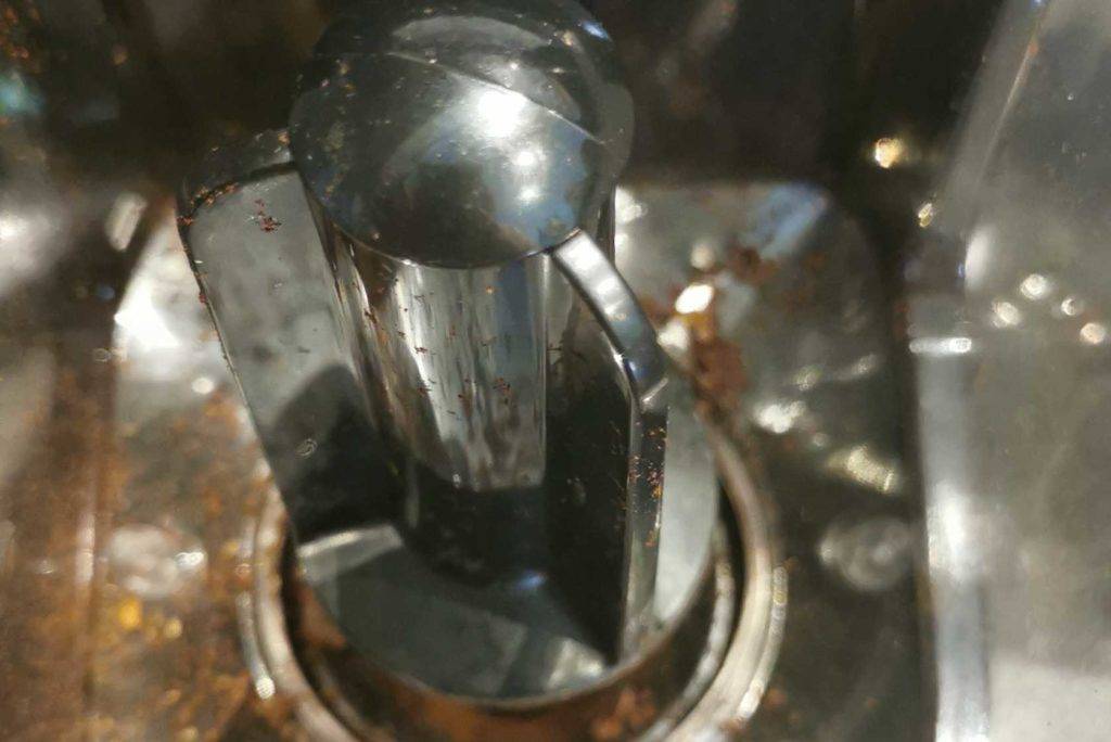 Rommelsbacher elektrische Kaffeemühle im Einsatz