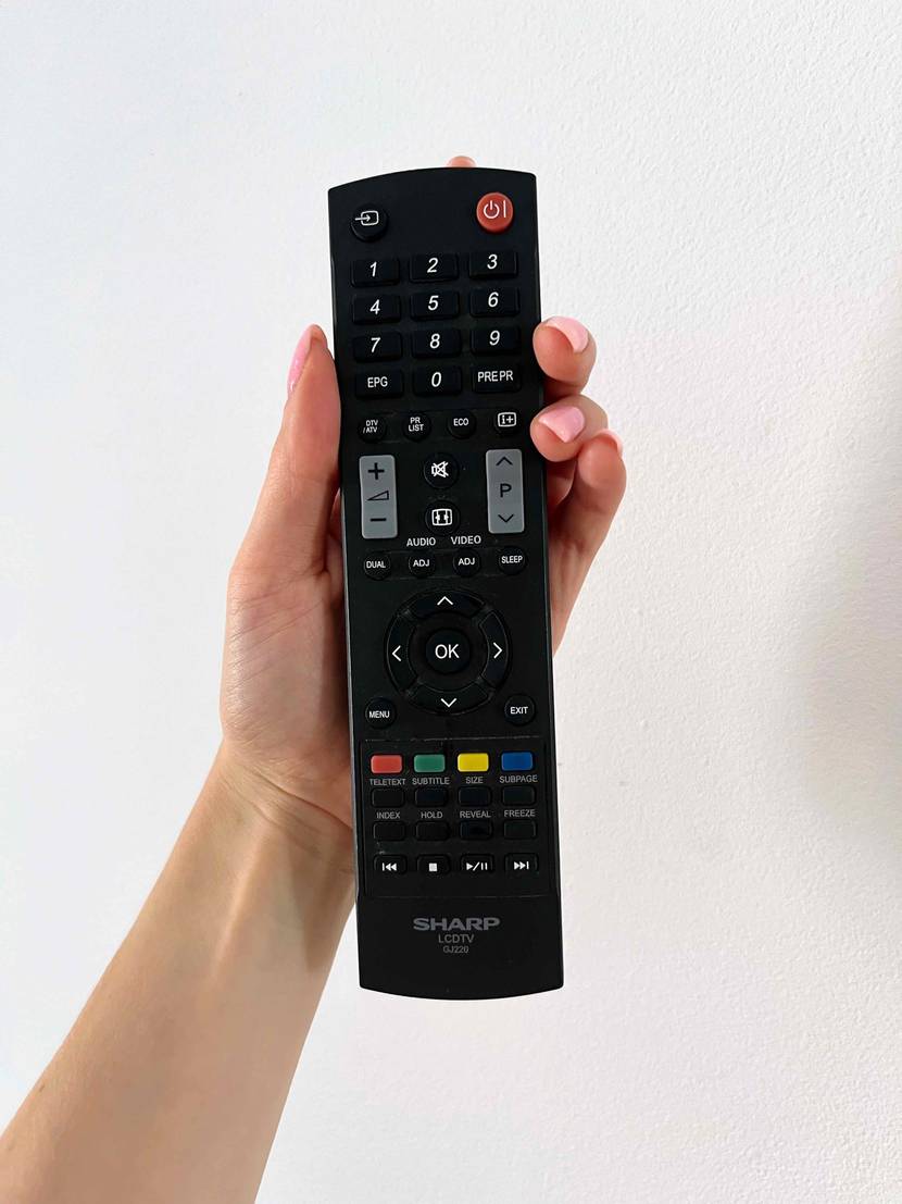 Die Universalfernbedienung im Test wird hochgehalten.