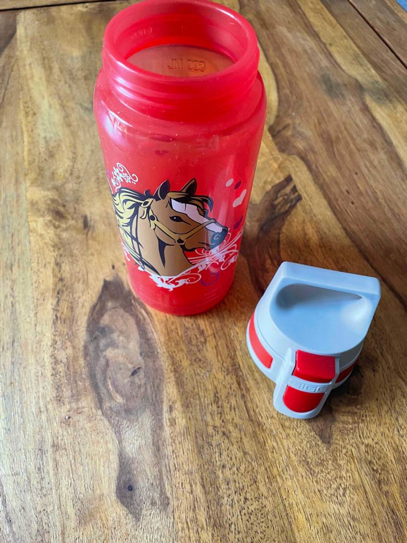 Trinkflasche-Kind-Test: Trinkflasche von der seite mit Pferdemotiv sthet auf einem Holzboden und der Deckel liegt daneben.