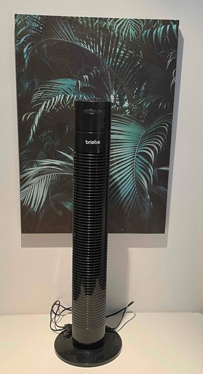 Turmventilator-Test: Ventilator steht vor eienm Bild.