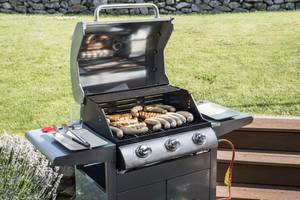 weber gasgrill grillwagen test vergleich